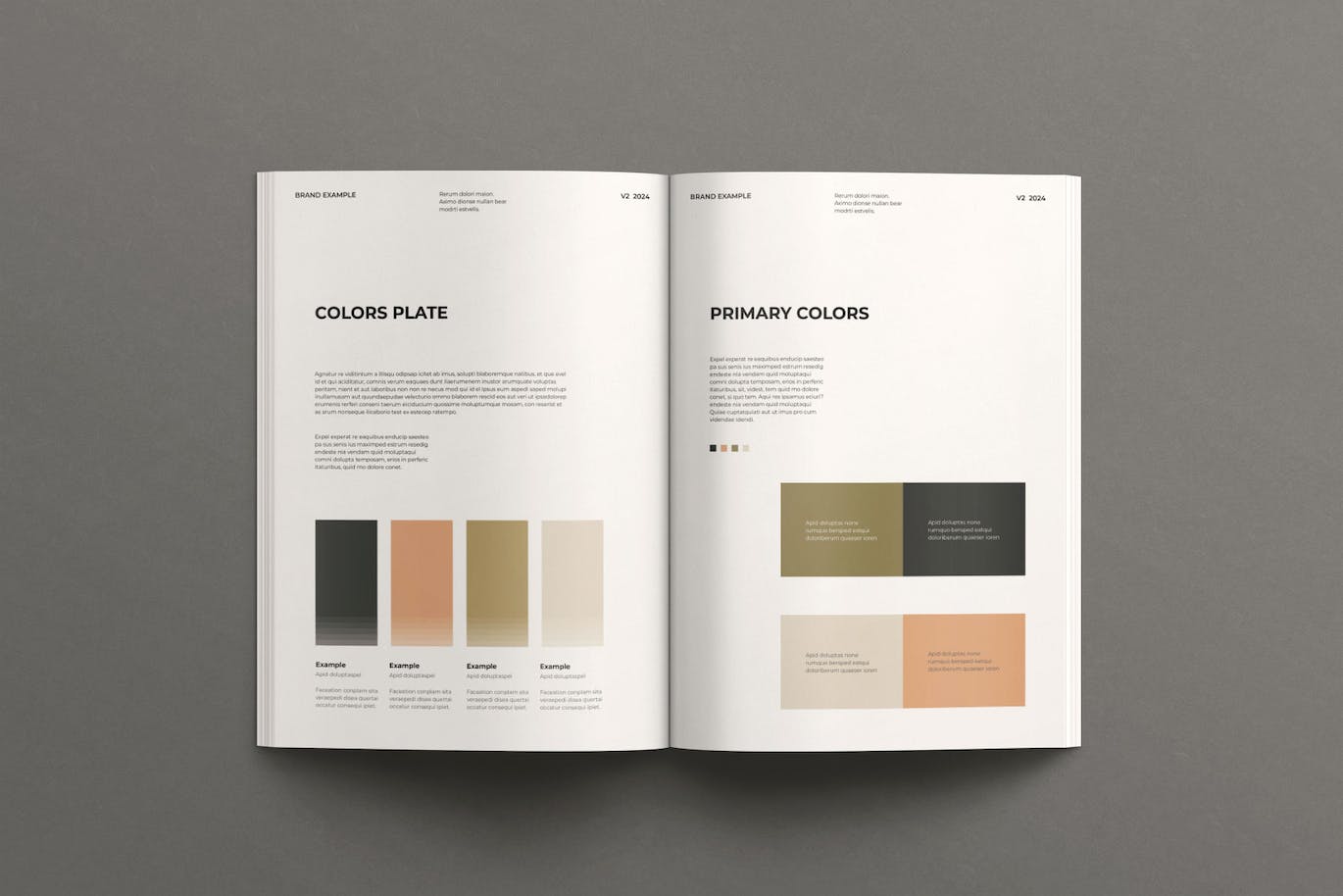 设计简约的指南说明书模板-2 设计简约的指南说明书模板