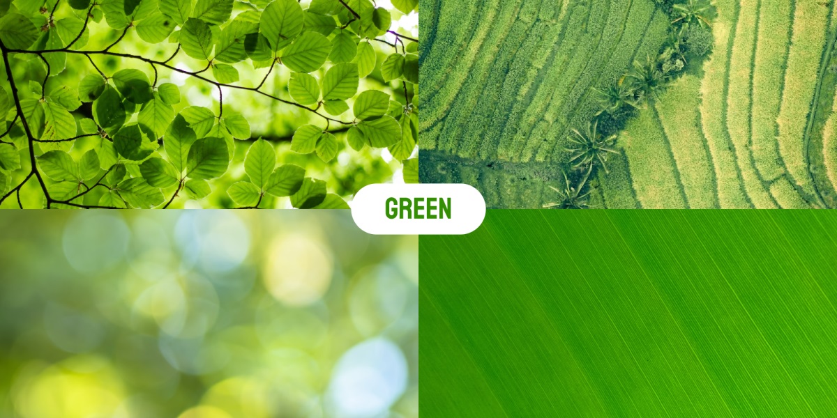 爆肝整理！10个章节掌握大厂都在用的色彩设计指南