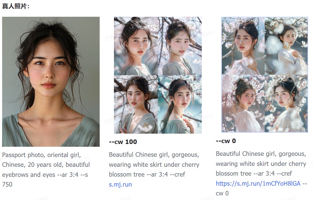 Midjourney 重大更新!深度解析角色一致性命令-2 Midjourney 重大更新!深度解析角色一致性命令