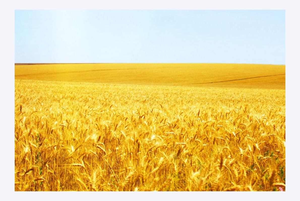 万字干货!6大章节全面系统帮你从零开始系统学配色-58 万字干货!6大章节全面系统帮你从零开始系统学配色