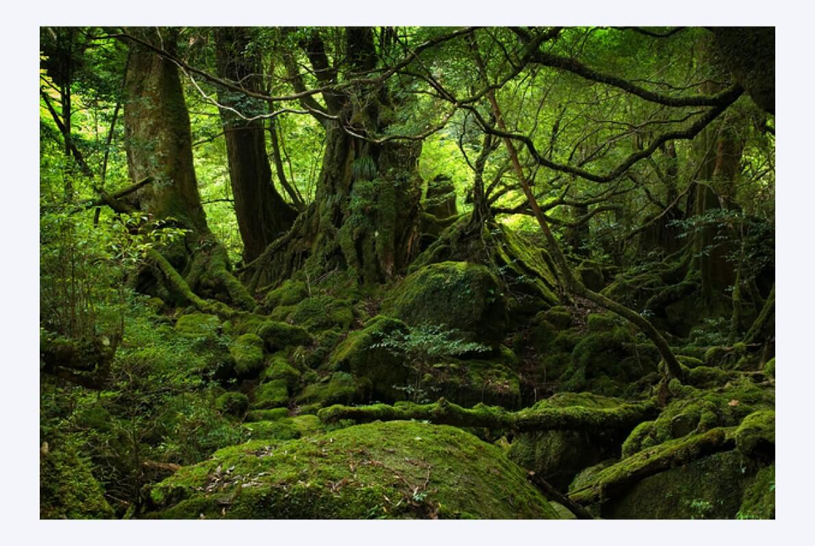 万字干货!6大章节全面系统帮你从零开始系统学配色-62 万字干货!6大章节全面系统帮你从零开始系统学配色