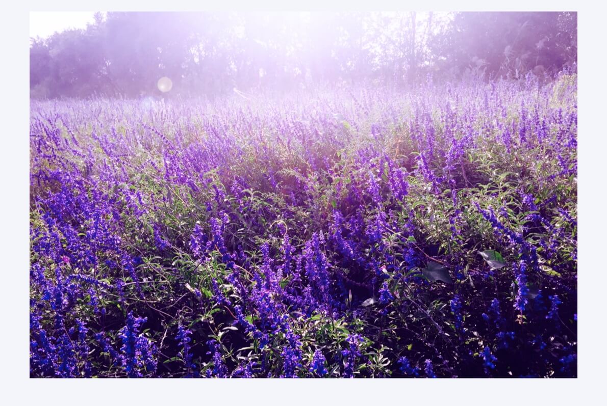 万字干货!6大章节全面系统帮你从零开始系统学配色-68 万字干货!6大章节全面系统帮你从零开始系统学配色