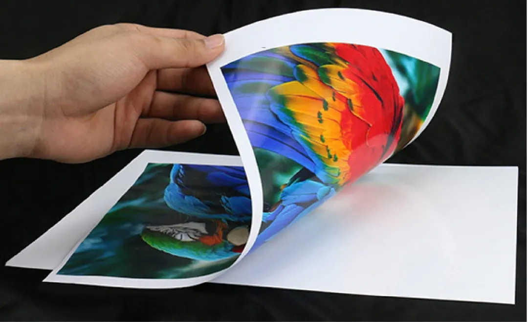 做了这么久设计，做为平面设计师的你竟然还不了解纸张？