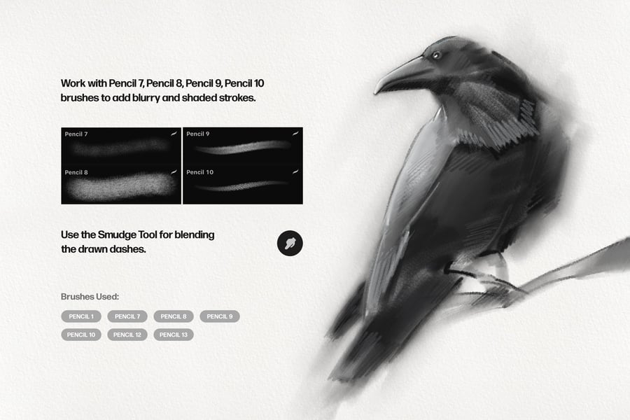 25个基本铅笔Procreate笔刷素材包