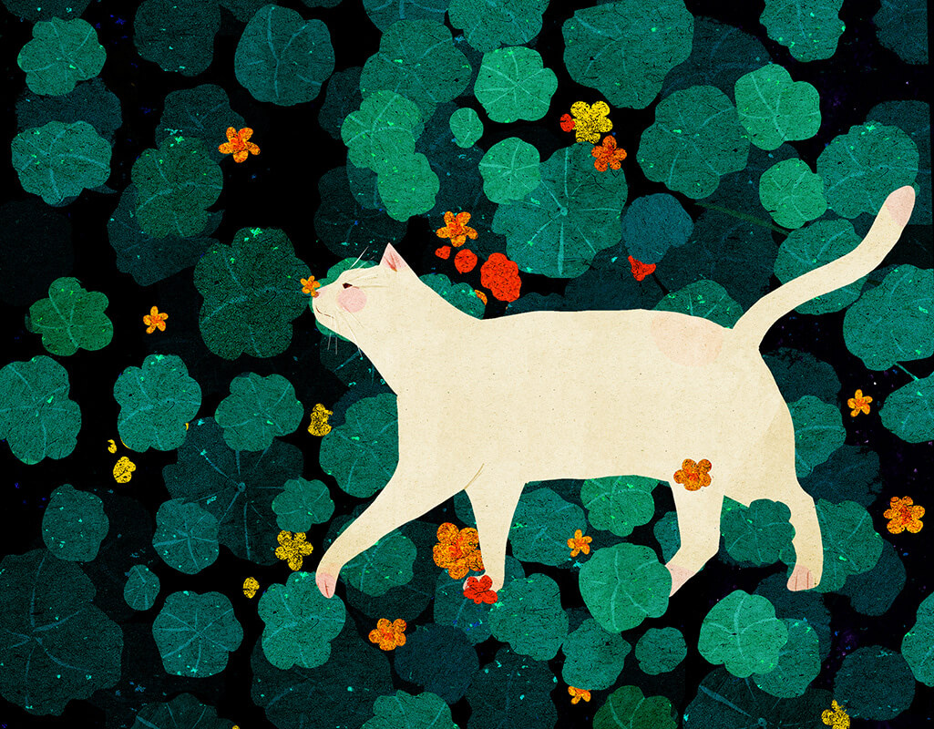 越南插画师Xuan Loc Xuan巨猫插画