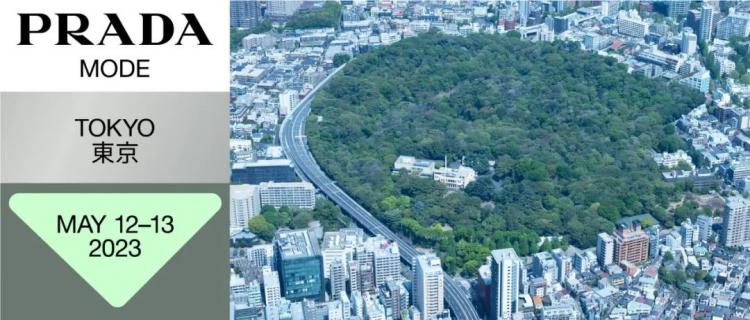 策略的兴起,是否意味着设计的消亡?-10 策略的兴起,是否意味着设计的消亡?