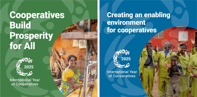 2025国际合作社年（IYC）品牌视觉设计