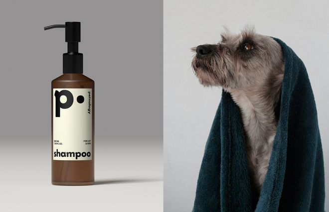 美国Petnology宠物健康产品品牌设计