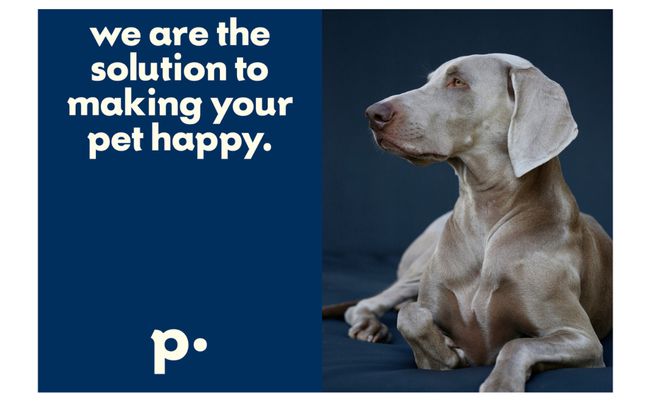 美国Petnology宠物健康产品品牌设计