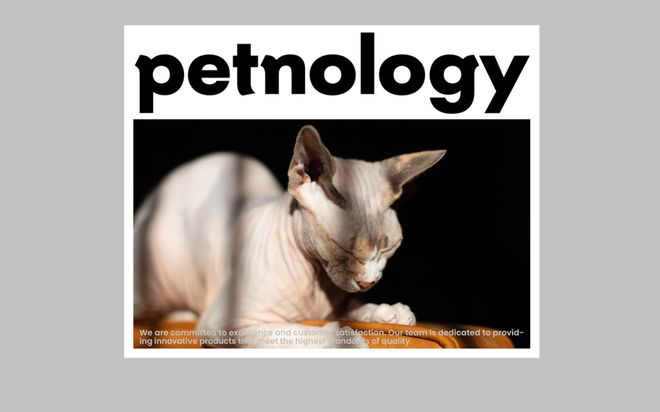 美国Petnology宠物健康产品品牌设计