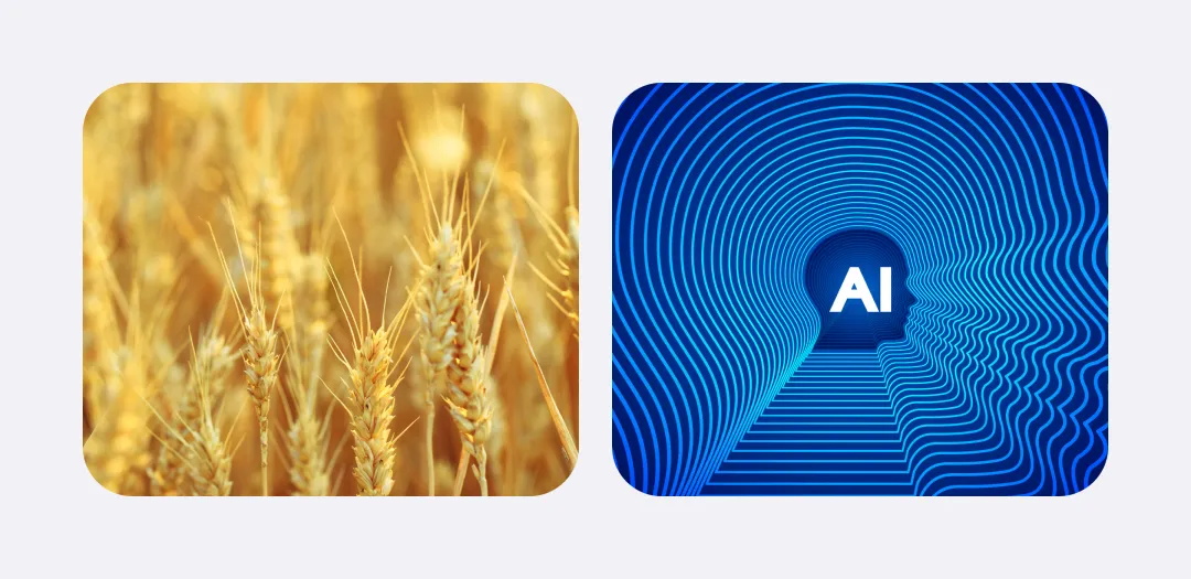 为什么AI无法取代设计师？揭秘大厂高手的深度思考！