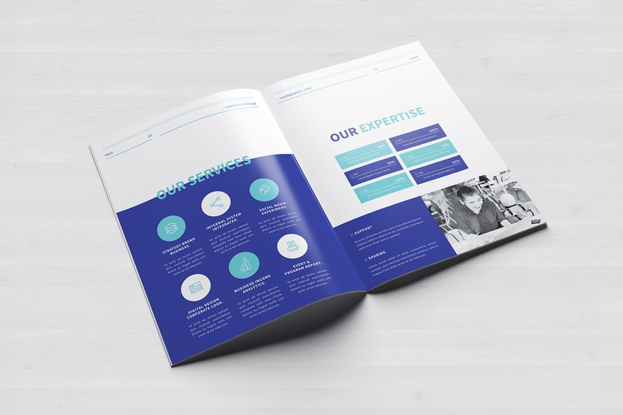 欧美风格蓝色简洁公司简介手册