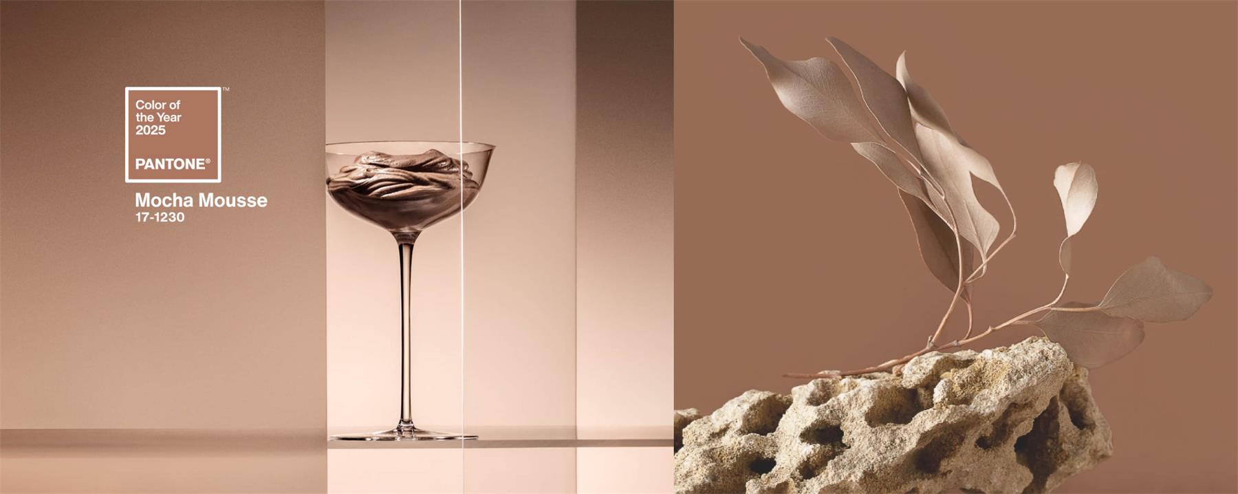 五大章节超多案例帮你读懂2025潘通年度色「摩卡慕斯」