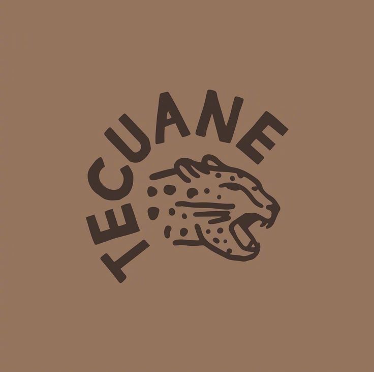 一组虎狮图形标志创意设计欣赏