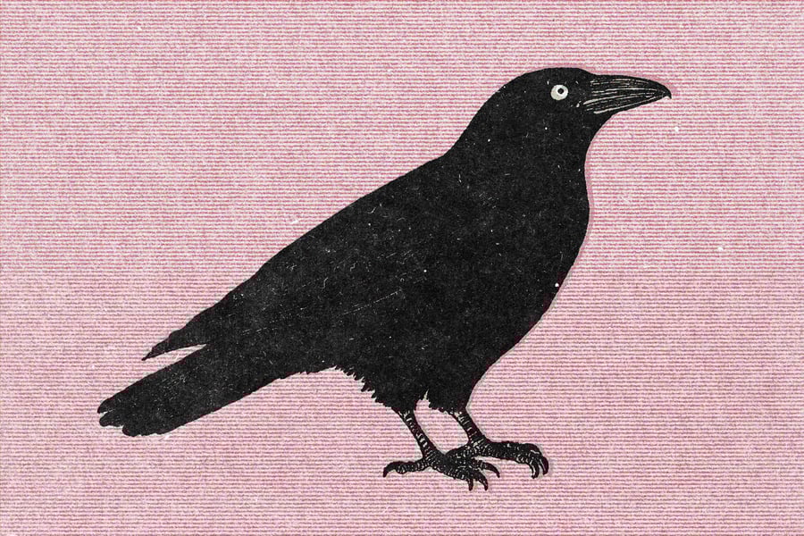 复古破旧丝网印刷效果图片PSD样式素材包