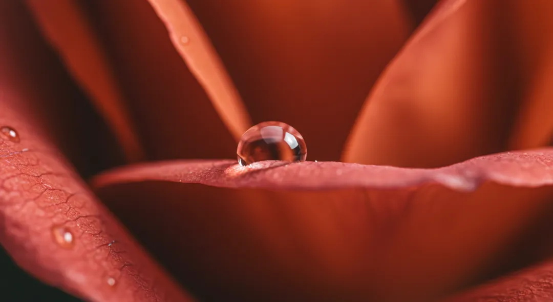 超全总结!13个AI摄影景别提示词与效果展示-11 超全总结!13个AI摄影景别提示词与效果展示