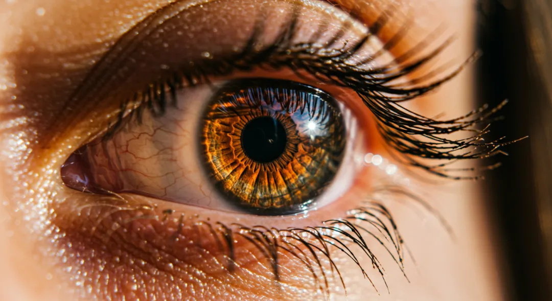 超全总结!13个AI摄影景别提示词与效果展示-9 超全总结!13个AI摄影景别提示词与效果展示