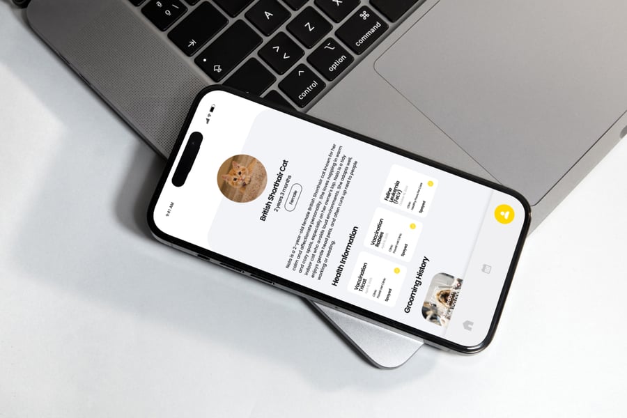 明亮的黄色宠物美容应用APP UI KIT素材包
