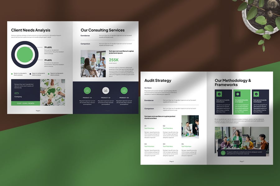 高级绿清洁ESG可持续发展咨询提案VI手册