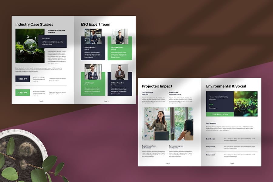 高级绿清洁ESG可持续发展咨询提案VI手册