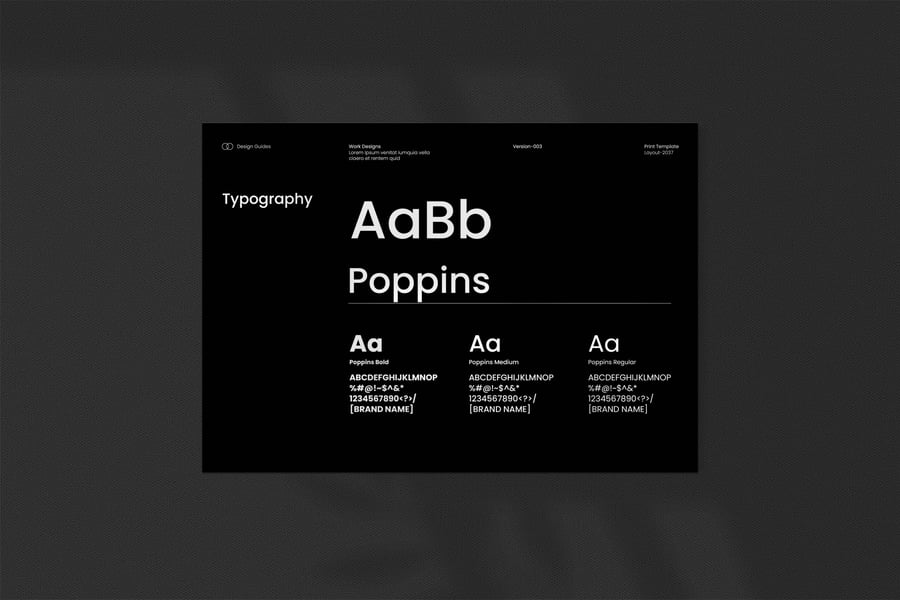 18个黑色时尚品牌VI指南-6 18个黑色时尚品牌VI指南