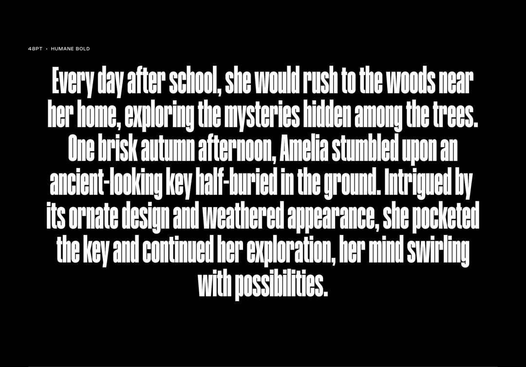 想让视觉设计更有力量感?收藏好这款免费字体!-27 想让视觉设计更有力量感?收藏好这款免费字体!