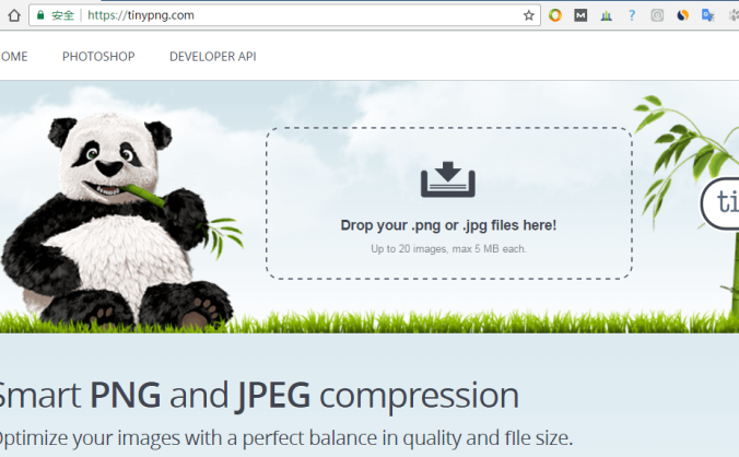 WordPress图片优化TinyPNG压缩插件：Compress JPEG & PNG images