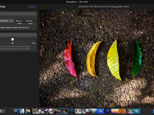 PhotoBulk 2.2 (270)  MAC中文破解版（超级好用的图片批量压缩重命名添加水印工具）