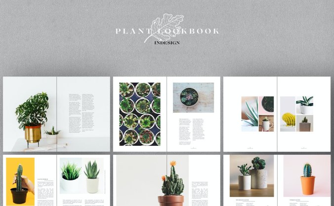 一套绿植画册设计INDD模板素材
