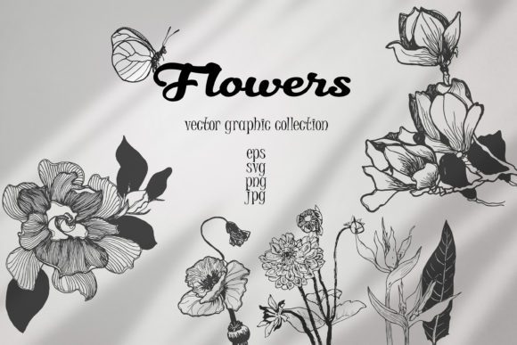 35个黑白手绘花卉植物矢量插画素材合集