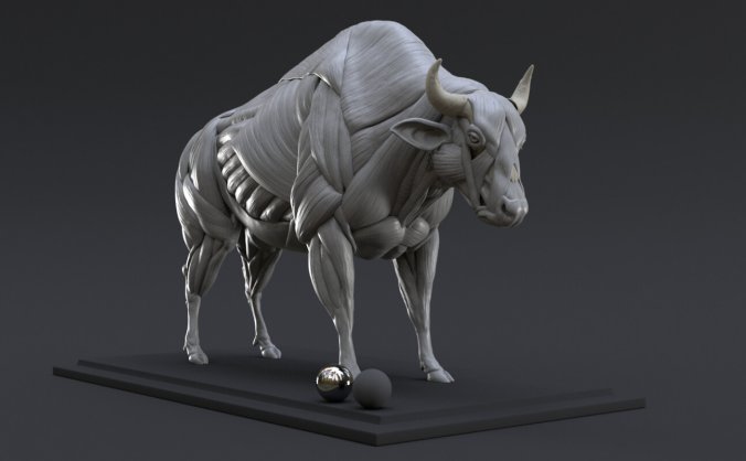 稀有的公牛C4D模型野牛3D模型动物模型素材