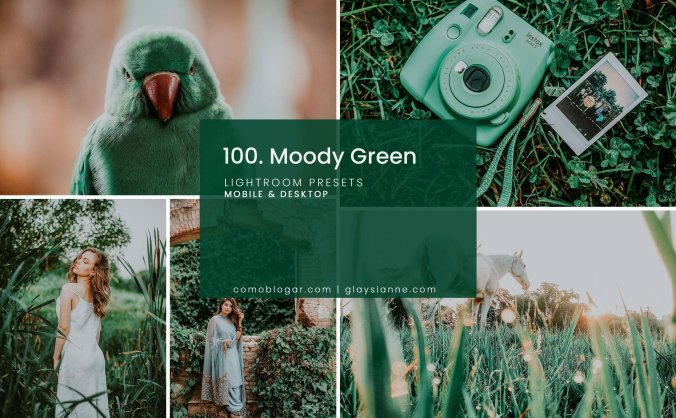 100个清新自然的绿色色调LR照片预设滤镜