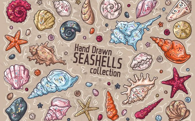 海洋贝壳主题手绘矢量元素素材包