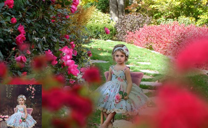 36个浪漫玫瑰花照片叠层PNG图片素材