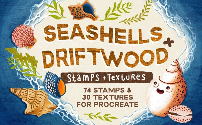 贝壳和海洋元素主题Procreate图案笔刷素材