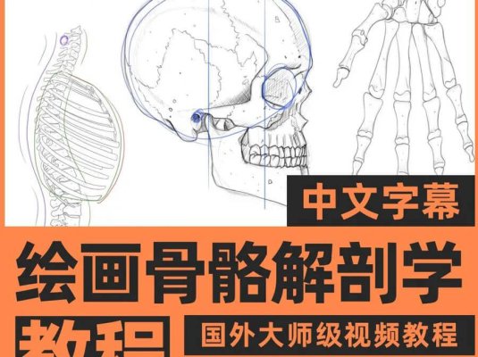 画人先画骨！跟着大神快速学习掌握人体骨骼套路的技巧