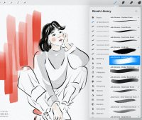 Procreate 画笔混合媒体素描 (BRUSHSET,SWATCHES,PROCREATE)