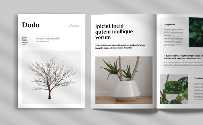 简洁自然杂志风VI手册模板素材
