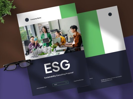 高级绿清洁ESG可持续发展咨询提案VI手册